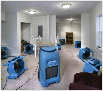 Mold Remediation & Removal in Groveton, VA