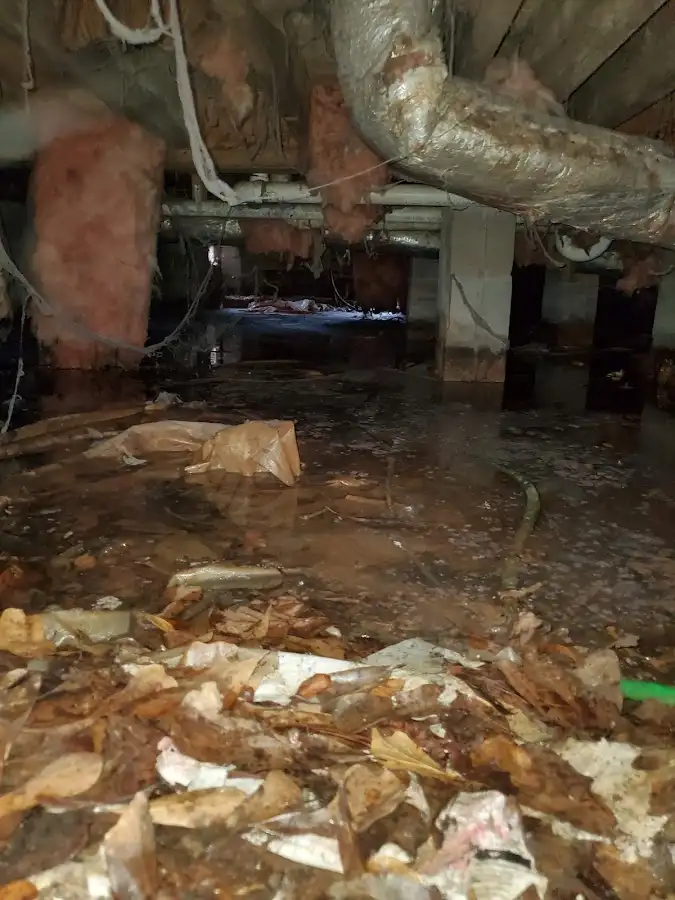 Crawl space flood assessment for Leak Detection & Repair in Groveton