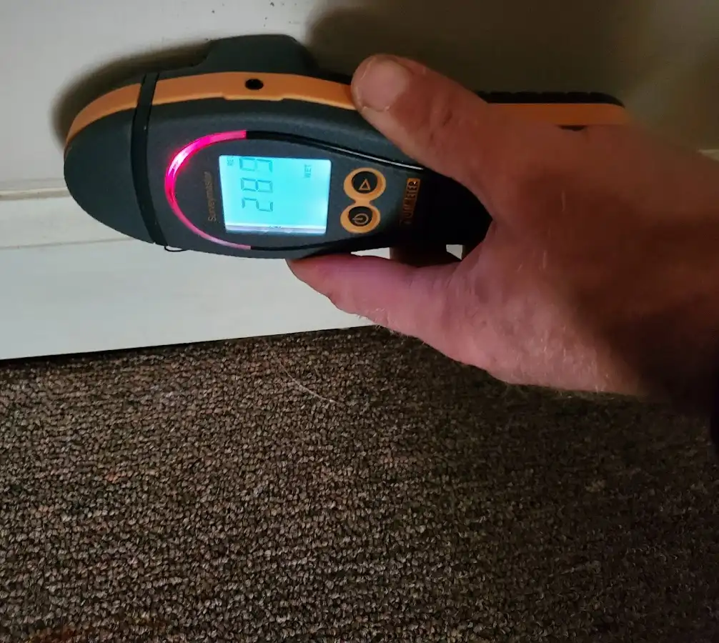 Moisture detection at baseboard during Storm Damage Restoration in Groveton